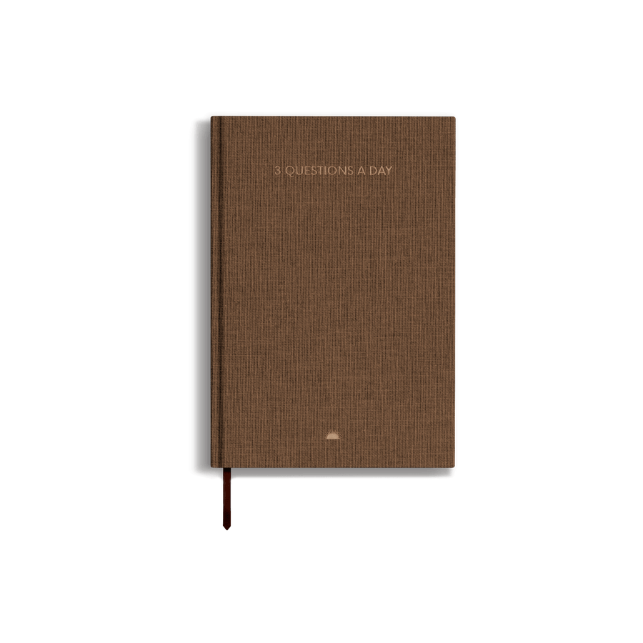 3 Questions a Day Journal